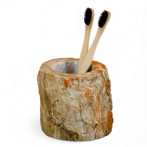 Legno fossile porta spazzolini - fossile,